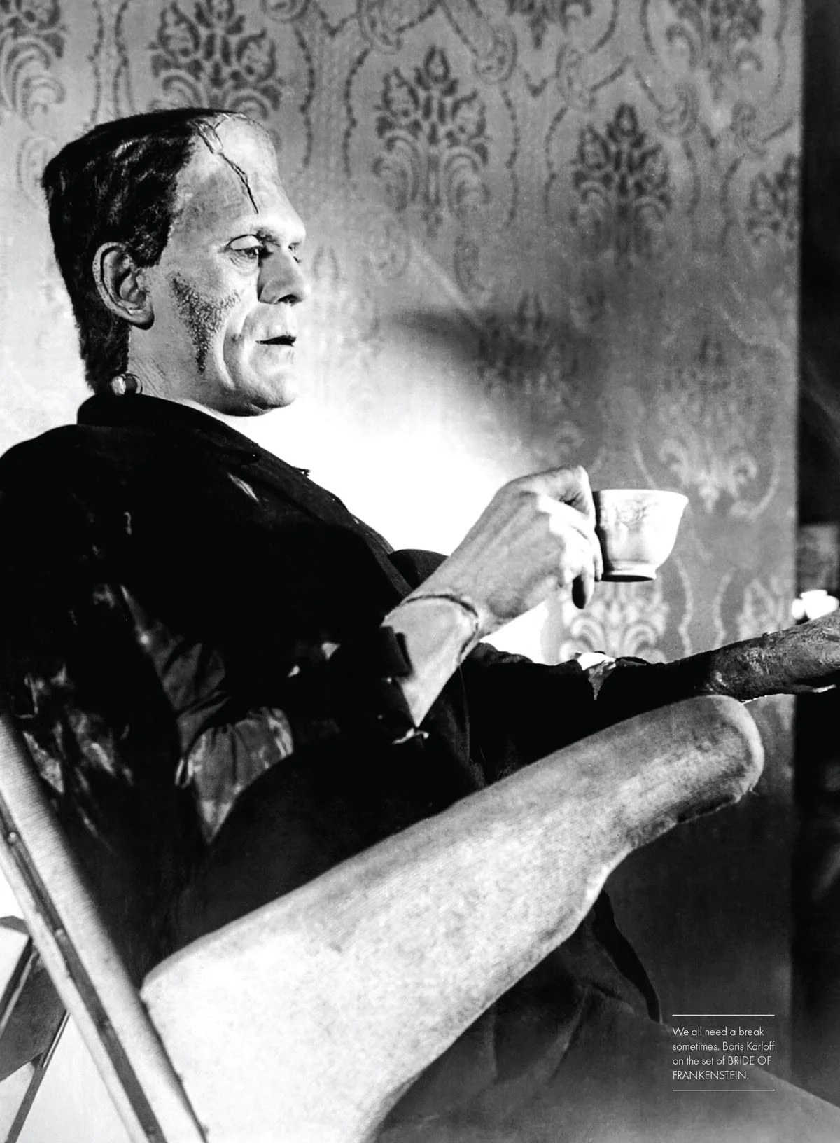 Fangoria Presents - Frankenstein: Guillermo Del Toro & Mike Hill's Exclusive Insights, Mary Shelley’s Creation, Frankenstein's Legacy, Universal’s & Hammer’s Adaptations, Evolution Of Horror & More! - Image 8