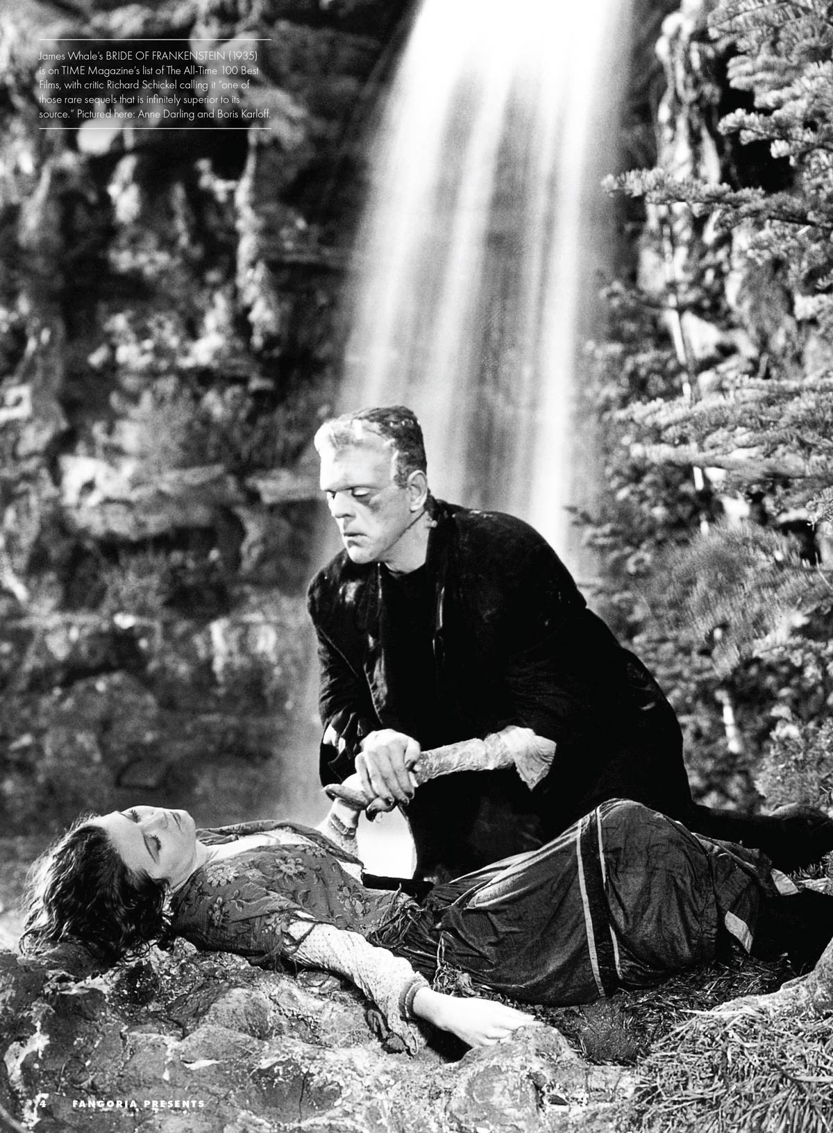 Fangoria Presents - Frankenstein: Guillermo Del Toro & Mike Hill's Exclusive Insights, Mary Shelley’s Creation, Frankenstein's Legacy, Universal’s & Hammer’s Adaptations, Evolution Of Horror & More! - Image 9